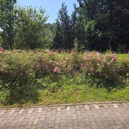 アパート Domizil Resi In Der Fraenkischen Schweiz Bei Bayreuth Mistelgau